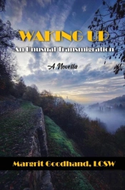 Waking Up: An Unusual Transmigration: An