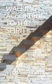 Walking According To The Spirit?
