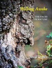 Walking Awake