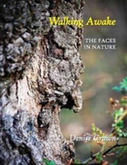 Bertrand.pt - Walking Awake