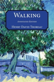 Walking