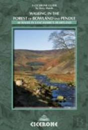 Walking In The Forest Of Bowland And Pendle