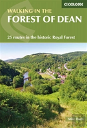 Walking In The Forest Of Dean