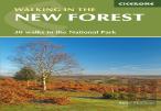 Walking In The New Forest