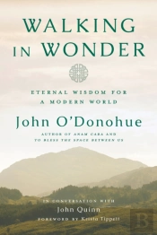 Walking In Wonder