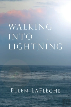 Bertrand.pt - Walking Into Lightning