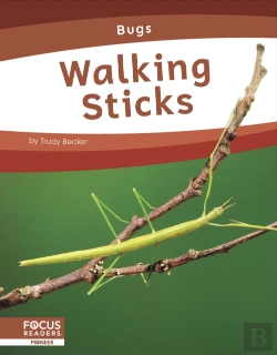 Bertrand.pt - Walking Sticks