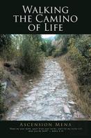Walking The Camino Of Life