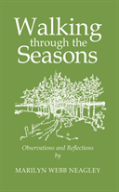Walking Through The Seasons