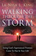 Walking Through The Storm