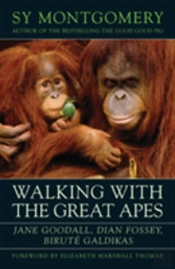 Bertrand.pt - Walking With The Great Apes