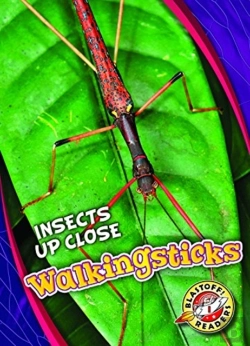 Bertrand.pt - Walkingsticks