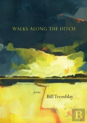 Walks Along The Ditch