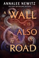 Wall Is Also A Road