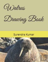 Walrus Drawing Book