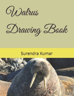 Bertrand.pt - Walrus Drawing Book
