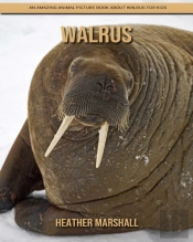 Walrus