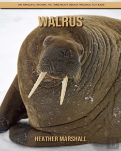 Bertrand.pt - Walrus