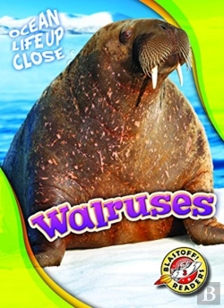 Bertrand.pt - Walruses