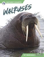 Walruses