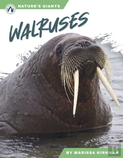 Bertrand.pt - Walruses