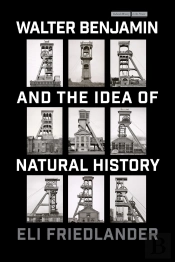 Walter Benjamin And The Idea Of Natural History