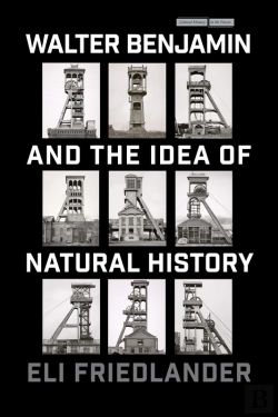 Bertrand.pt - Walter Benjamin And The Idea Of Natural History