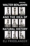 Walter Benjamin And The Idea Of Natural History