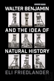 Walter Benjamin And The Idea Of Natural History