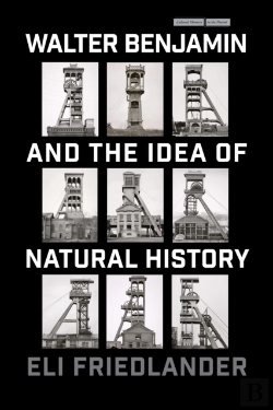 Bertrand.pt - Walter Benjamin And The Idea Of Natural History