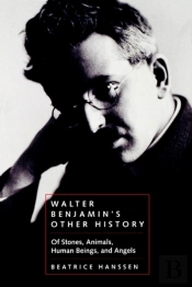 Walter Benjamin'S Other History