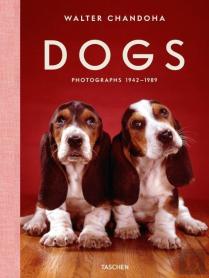 Walter Chandoha. Dogs.