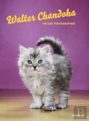 Walter Chandoha: The Cat Photographer