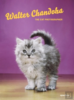 Bertrand.pt - Walter Chandoha: The Cat Photographer
