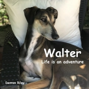 Walter, Life Is An Adventure