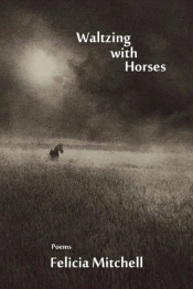 Waltzing With Horses
