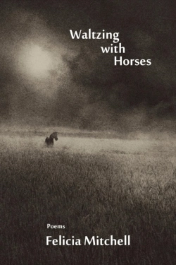 Bertrand.pt - Waltzing With Horses