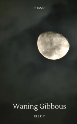 Bertrand.pt - Waning Gibbous: Phases