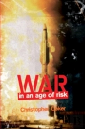 War In An Age Of Risk