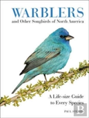 Warblers And Other Songbirds Of North America