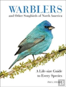 Bertrand.pt - Warblers And Other Songbirds Of North America
