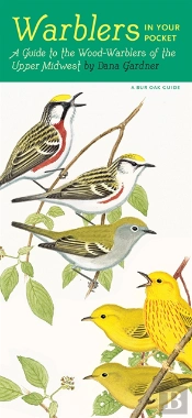 Warblers In Your Pocket