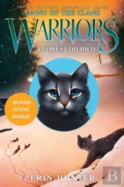Warriors: Dawn Of The Clans #5: A Forest Divided