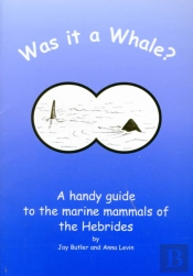 Was It A Whale?
