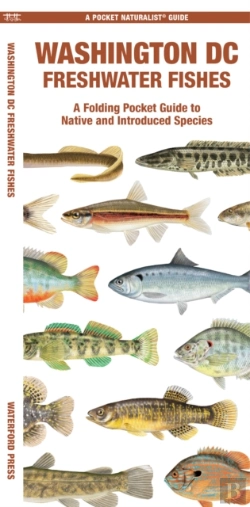 Bertrand.pt - Washington Dc Freshwater Fishes