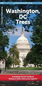 Washington, Dc Trees