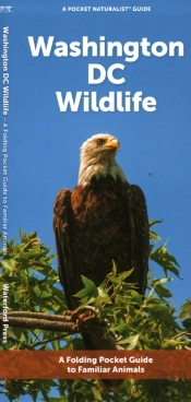 Washington Dc Wildlife