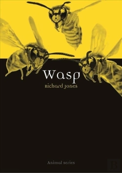 Bertrand.pt - Wasp