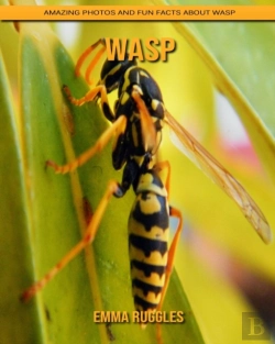 Bertrand.pt - Wasp