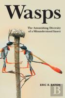 Wasps
